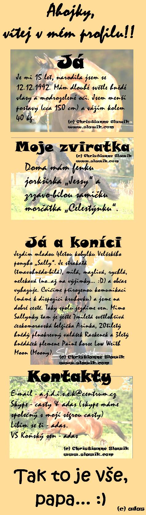 Můj profil.JPG